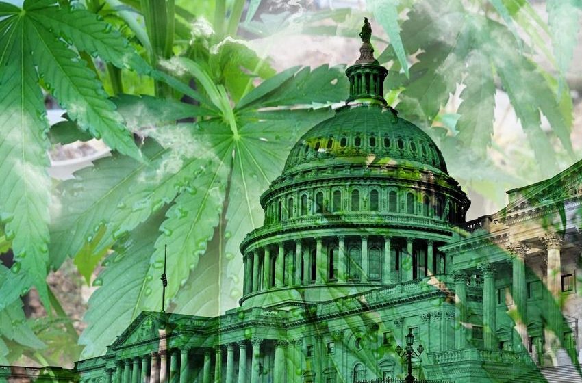  Bank Of America, NRA, And Mastercard Are Lobbying On Marijuana Banking