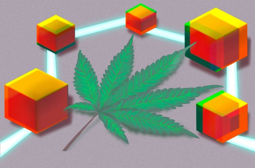  Can the Blockchain Clear the Smoke for Cannabis?