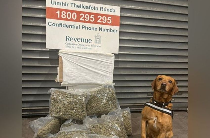  Revenue detector dog uncovers €223,000 worth of cannabis resin from parcels in Dublin