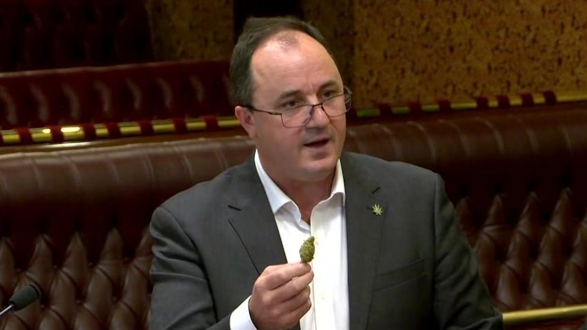  ‘What’s to be afraid of?’: Cannabis stunt pulled in NSW parliament during legalisation bill bid