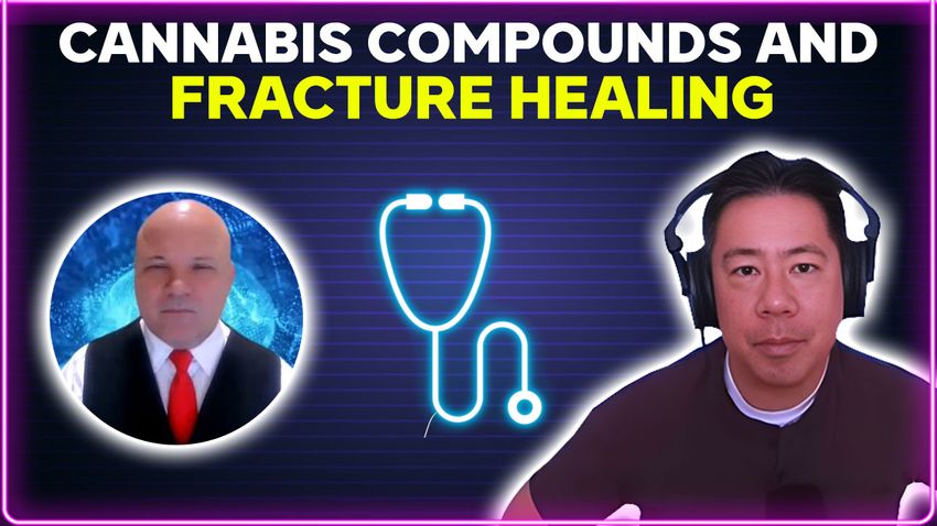  Cannabis compounds and fracture healing [PODCAST]