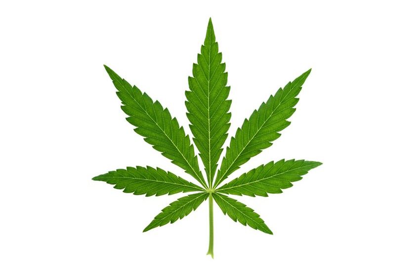  Ohio Votes to Legalize Marijuana For Adult Recreational Use