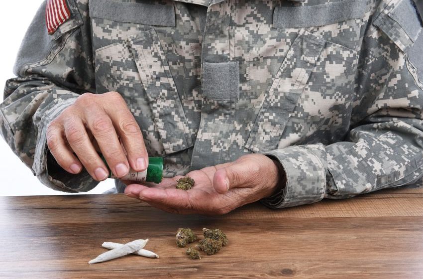  Empowering Veterans: The Case for Federal Cannabis Reform