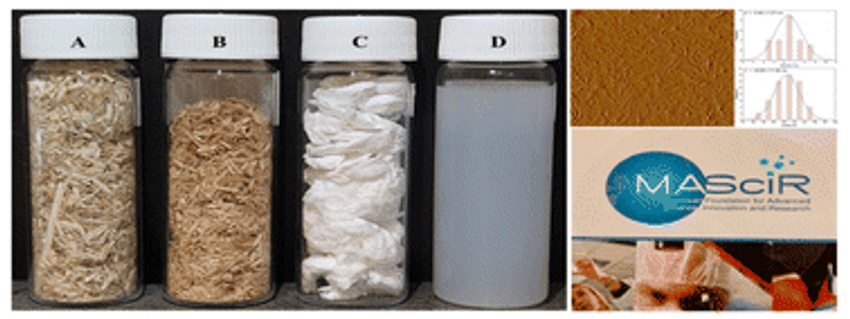  Hemp cellulose nanocrystals for functional chitosan/polyvinyl alcohol-based films for food packaging applications