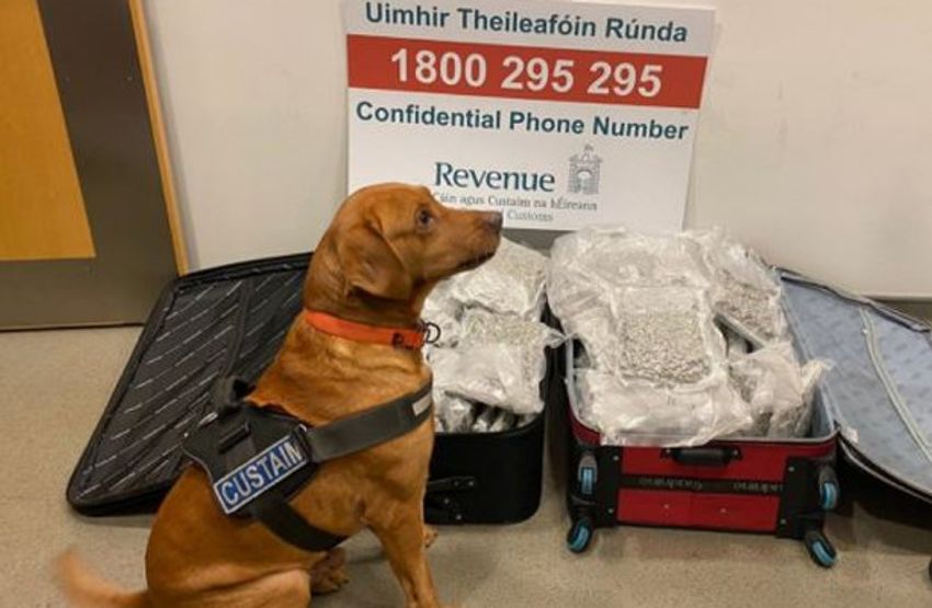  €660,000 worth of cannabis seized from passenger at Dublin Airport