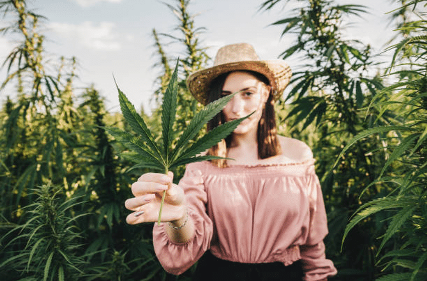  Diving into the World of Hemp Products: Exploring Nature’s Wellness Arsenal