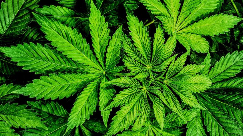  Ohio Becomes the 24th State To Legalize Recreational Marijuana