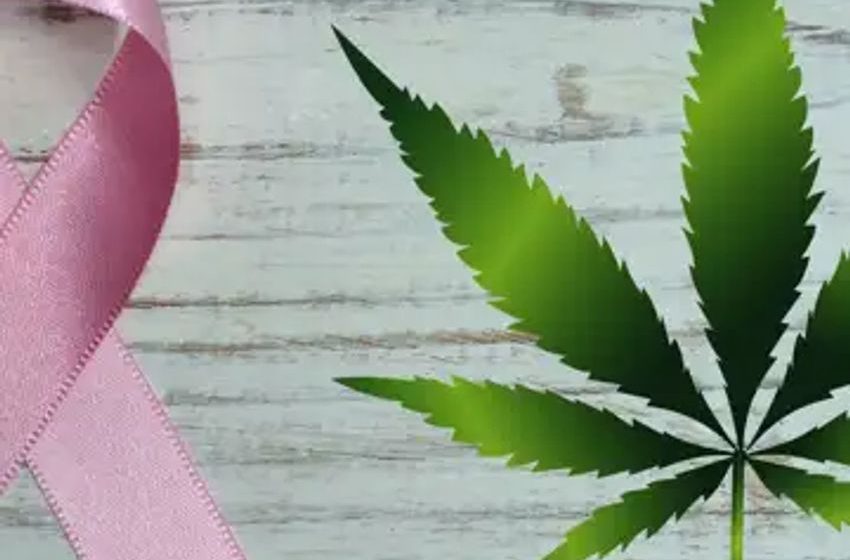  In Less Than 2 Months, Federal Health Agency Has Granted $6.4M To Study Medical Marijuana In Cancer Patients