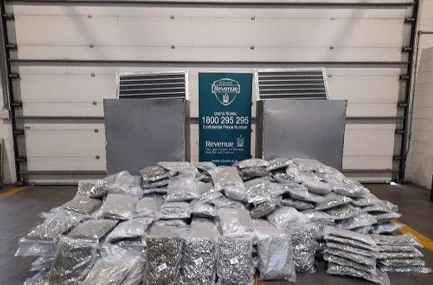  Revenue detector dog Waffle helps officials seize drugs worth €4.4m in Dublin Port