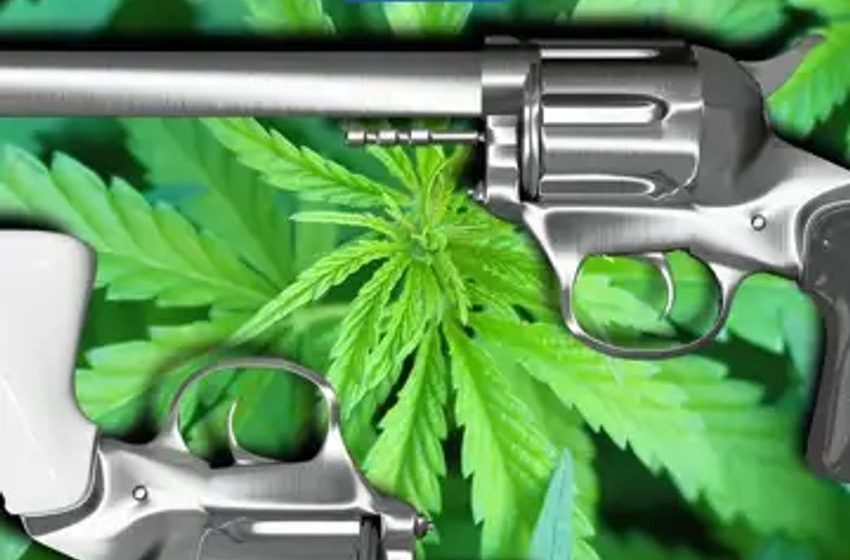  Ballots And Bullets: How Ohio’s Weed Legalization Vote Might Affect Gun Purchases