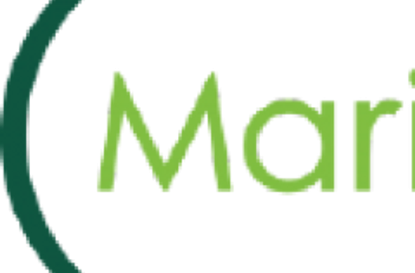 Brokers Issue Forecasts for MariMed Inc.’s Q4 2023 Earnings (OTCMKTS:MRMD)