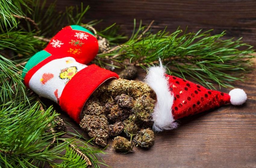  Holiday Gift uide 2023: Fun Gifts For That Cannabis Fan In Your Life