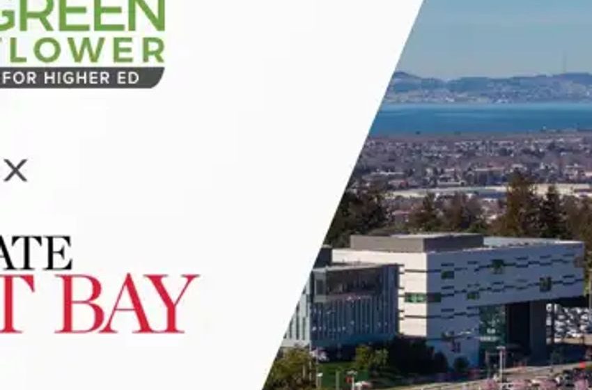  ‘It’s competitive’: East Bay school offers first cannabis education courses in Cal State University system