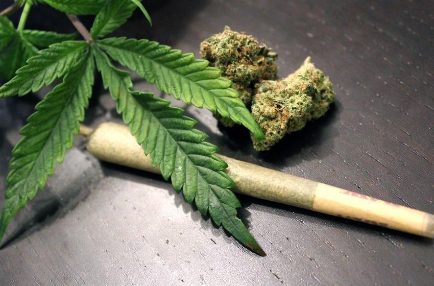  Marijuana use linked with increased risk of heart attack, heart failure