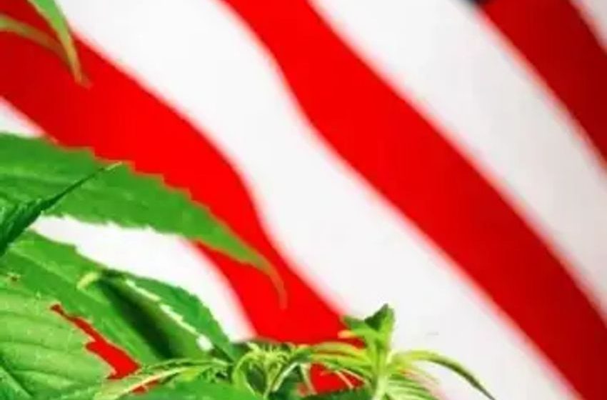  Marijuana Legalization Support Hits Record 70% As Republicans Join The Majority, Shows Gallup Poll