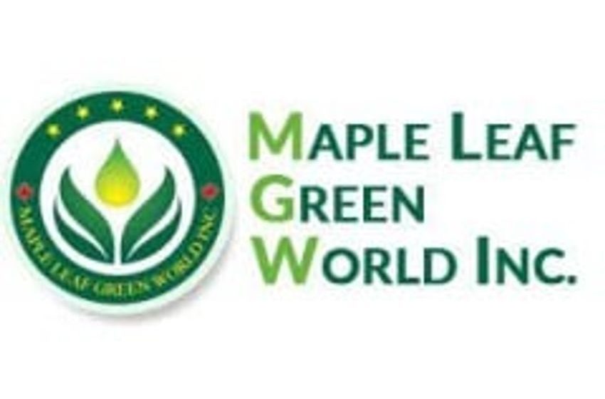  Maple Leaf Green World (CVE:MGW) Shares Up 777.8%