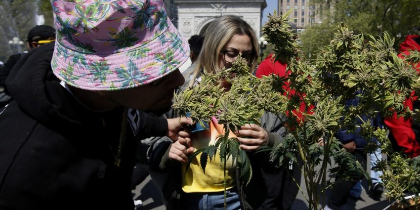  New York’s marijuana market is a mess and the state’s top weed cops just decided to settle the flood of lawsuits jamming all the weed shops