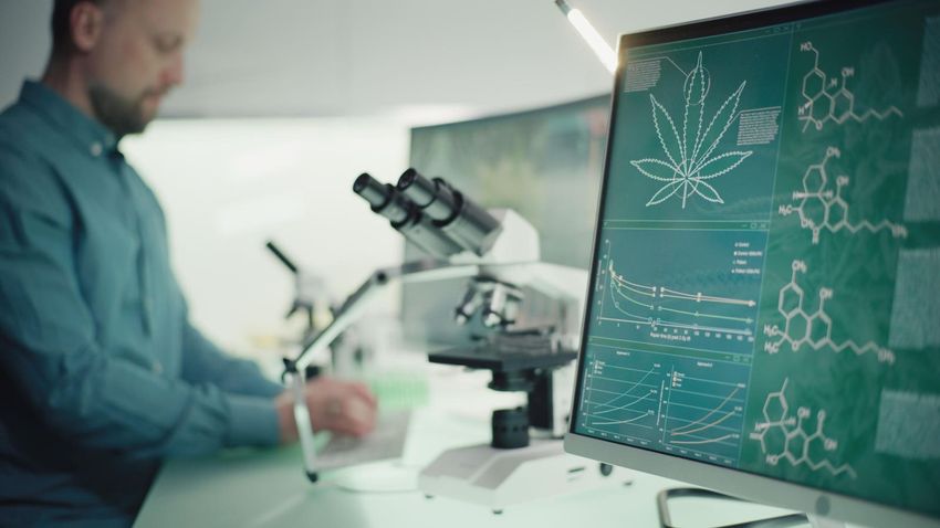  Study Finds Genetic Link To Cannabis Use Disorder