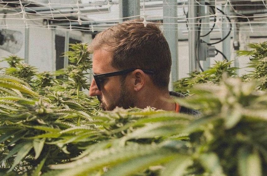  Surf Champ Justin Quintal Talks Cannabis, Mental Health: ‘Consumption Doesn’t Define Work Ethic’