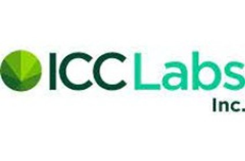  ICC Labs (CVE:ICC) Stock Price Down 5.8%