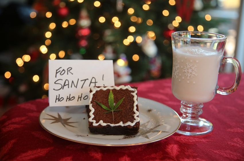  Weed Strain of the Week: Santa’s Cookies