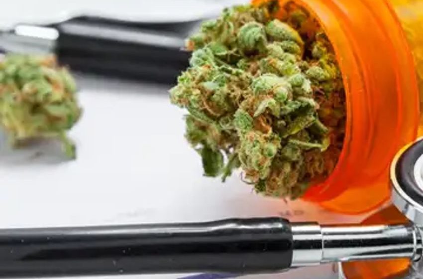  Medical Marijuana Patients In Minnesota Approved To Use Dry Herb Vaporization As Delivery Method