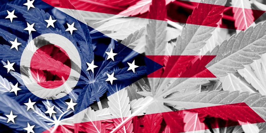  ‘This is not what voters wanted’: After Ohio voters approve legal weed, Senate GOP moves to ban home growth and gut several provisions