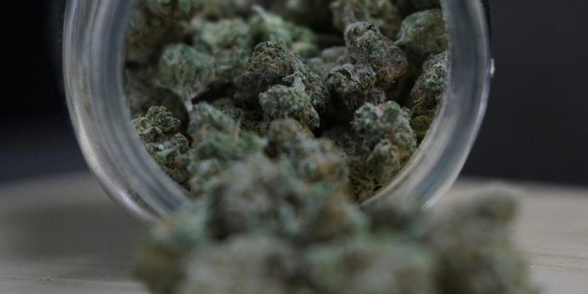  Adults can now legally possess and grow marijuana in Ohio — but there’s nowhere to buy it