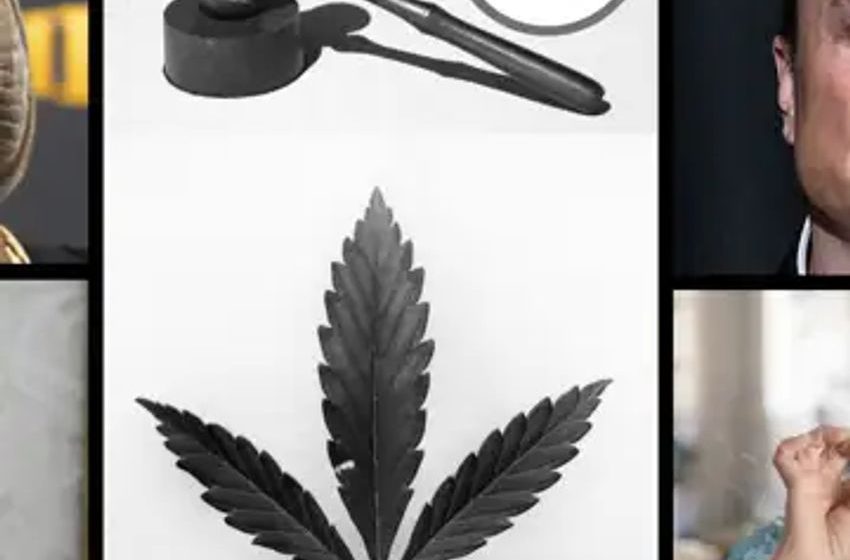  From Snoop Dogg Video Blasting Trump To GOP Admitting Legal Weed Undercuts Drug Cartels: Benzinga’s Most-Read Pot Stories Of 2023