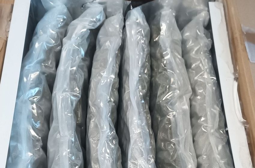  Woman (30s) arrested after cannabis worth €660k seized in Dublin