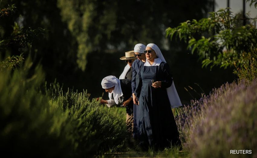  Mexico’s “Weed Nuns” Launch Movement To Take Marijuana Back From Narcos