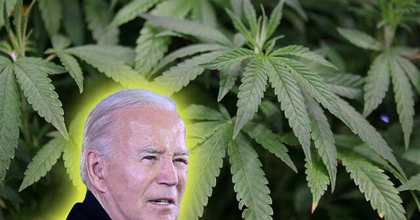  Biden Administration to Loosen Marijuana Laws, Some Advocates Say It Changes Nothing