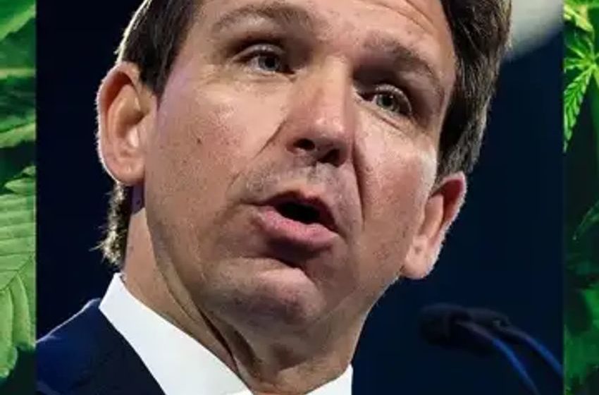  DeSantis And Moody’s War On Weed Loses Steam: Poll Shows Florida Overwhelming Supports Legalization