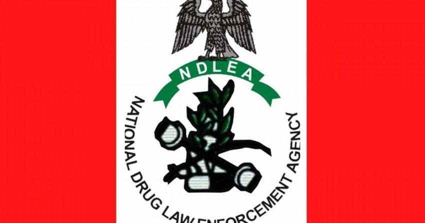  NDLEA seizes 2.05 tons of hard drugs, arrests 223 suspects in C’River