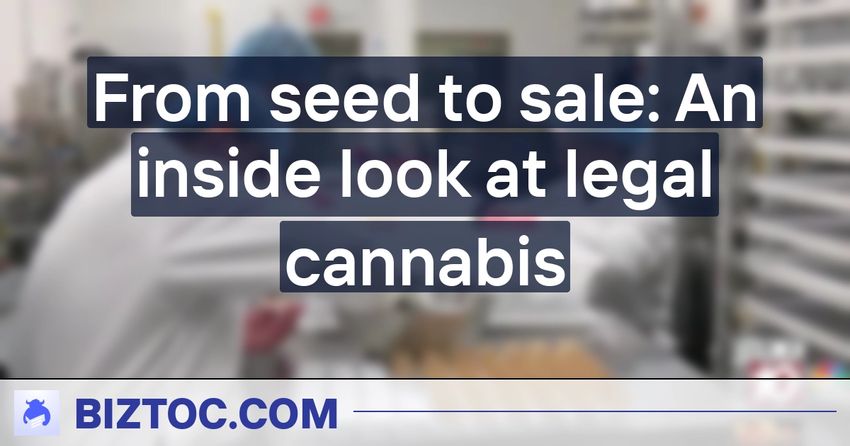  From seed to sale: An inside look at legal cannabis