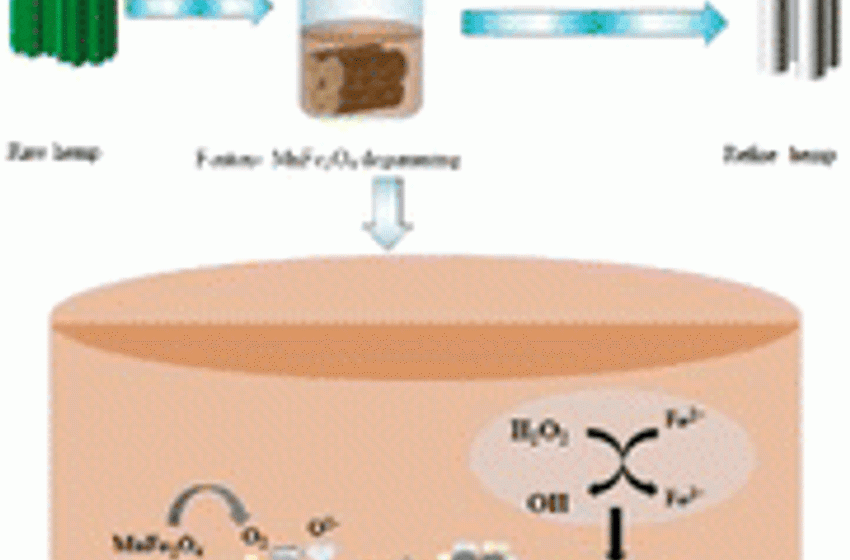  Study on the efficiency and recyclability of Fenton-MnFe2O4 for the degumming of hemp fibers