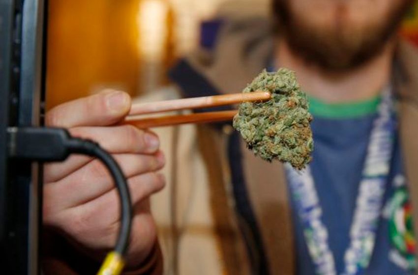  High-potency marijuana carries health risks