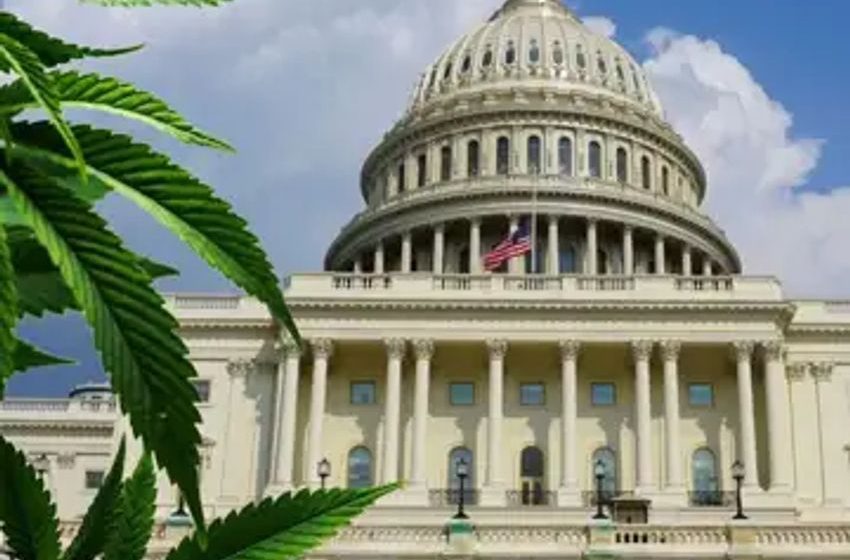  From Capitol Hill To The UN: Resolution Seeks Equity In Cannabis Industry, Urges Biden To Shatter Global Ban