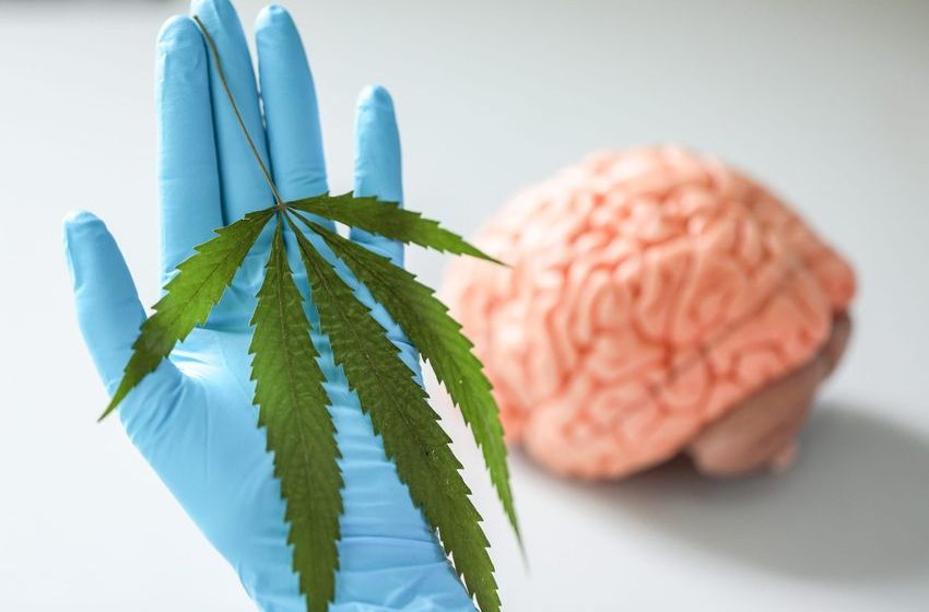  Marijuana linked to mental health disorders