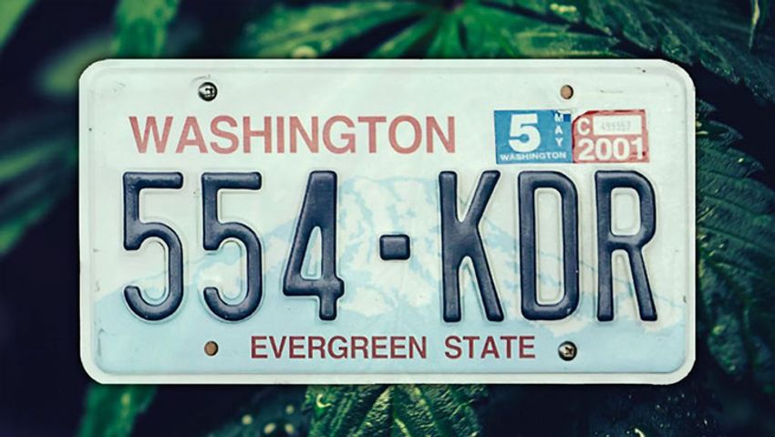  Washington: House Lawmakers Move to Lift Home Grow Ban, Reject Proposed THC Potency Limits