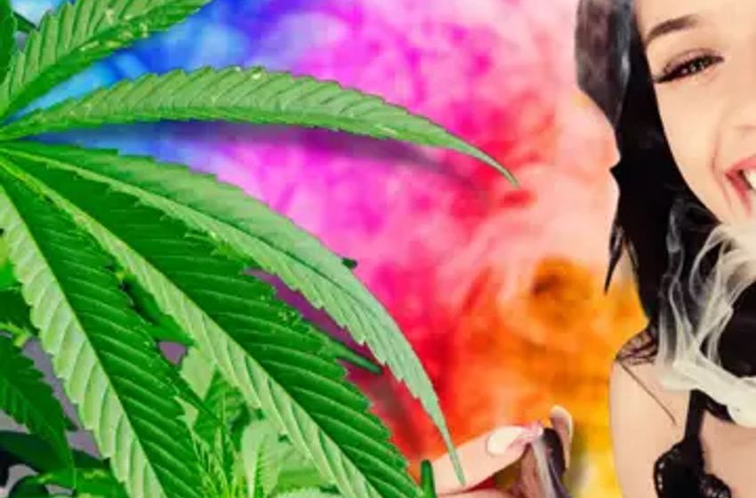  How Koala Puffs Became The Queen Of Cannabis Content: Unpacking Her Journey From Skeptic To Viral Sensation