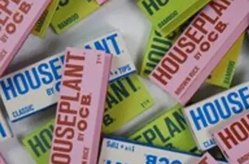  HOUSEPLANT® AND OCB® ANNOUNCE PARTNERSHIP TO LAUNCH BEST-IN-CLASS ROLLING PAPERS AND CONES