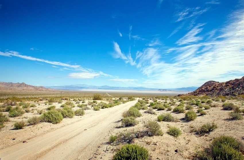  News24 | Five men arrested for killings of 6 people found slain in California desert