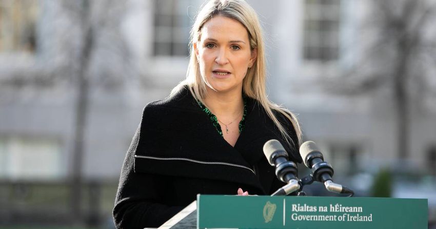  Ireland’s immigration plans are a crackdown by any other name