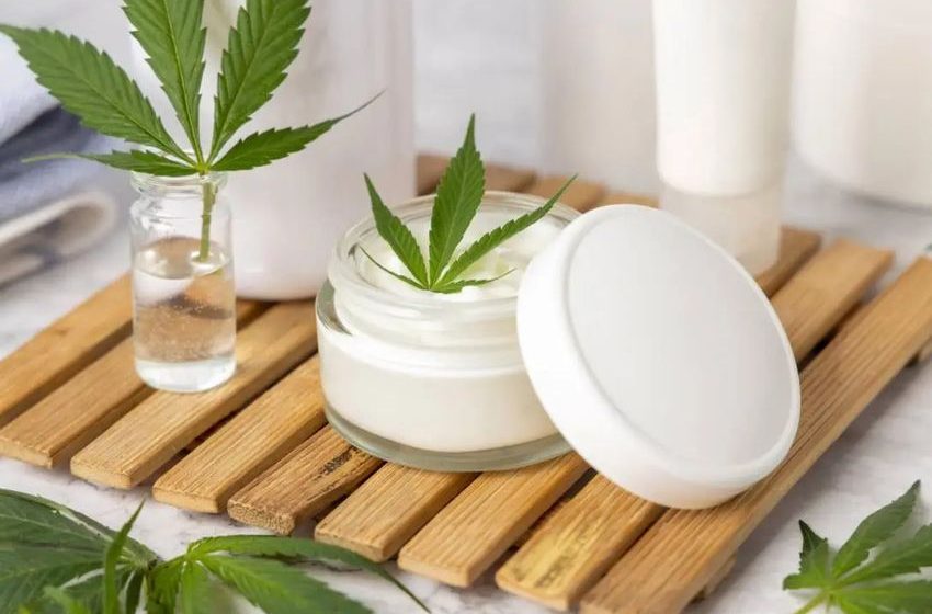  Facts About CBD Salve That You Should Know