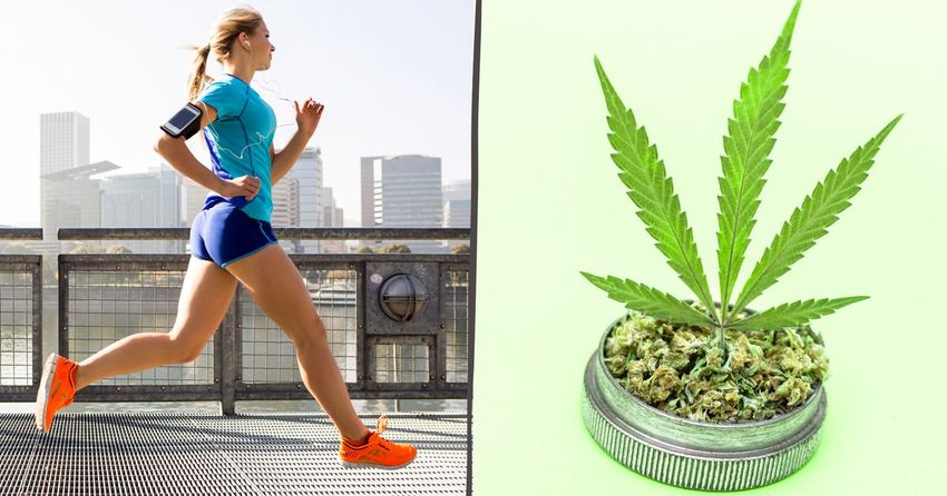  Does Weed Make Running Easier? A New Study Has A Surprising Answer.