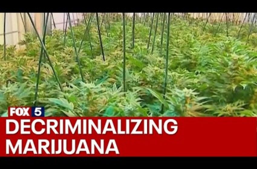  Dem Senators: It’s High Time To Deschedule Marijuana