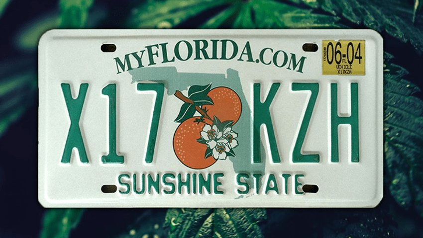  Florida: Push for THC Potency Caps Stalls