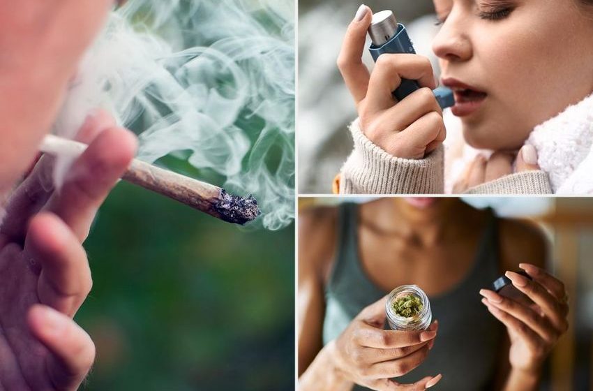  Marijuana use linked to increased asthma risk in youth: study