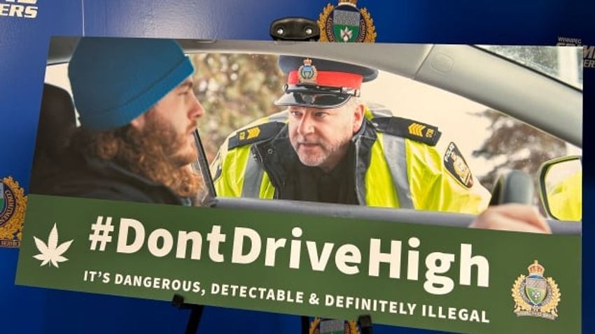  Winnipeg police warn of risks of driving while high amid campaign targeting drivers impaired by cannabis